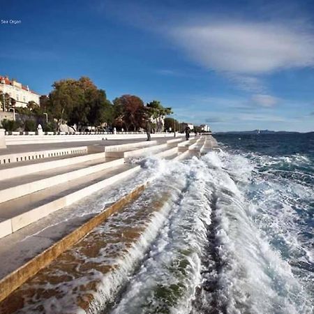 Reza Luxury Apartment Zadar Zewnętrze zdjęcie